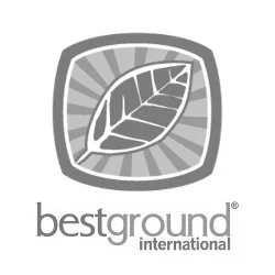 Best Ground International