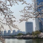 5 Myths About Entering the Korean Market