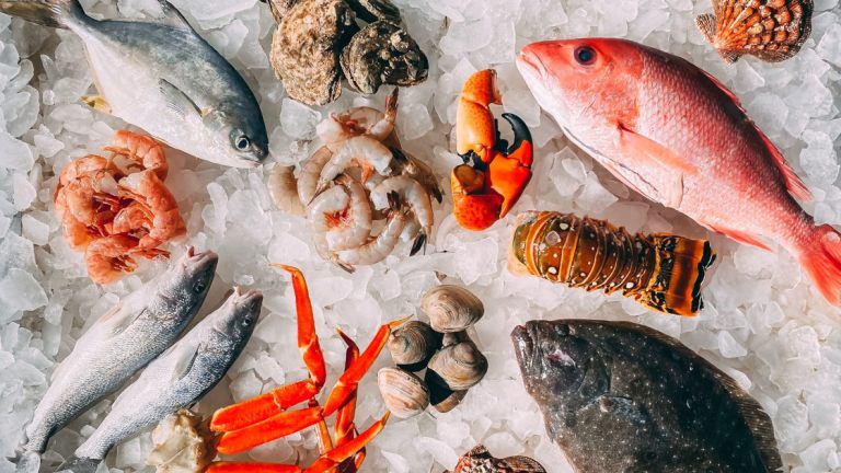 KOISRA Wins Indian Embassy Research Tenders for Korea Seafood & Food Markets