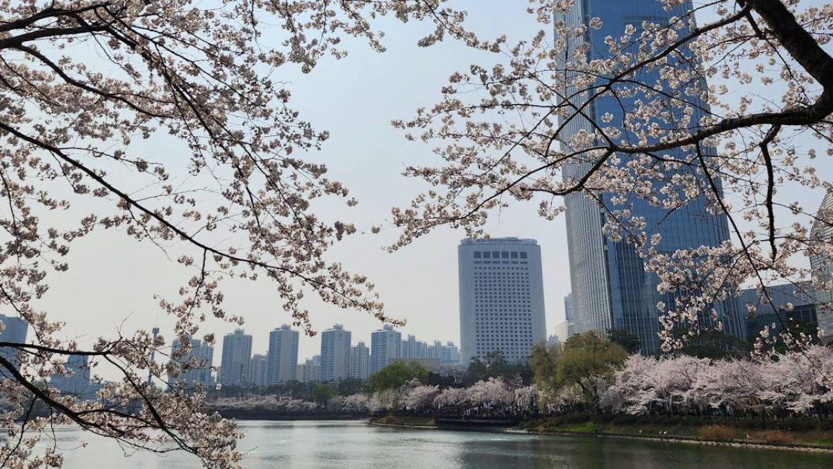 5 Myths About Entering the Korean Market